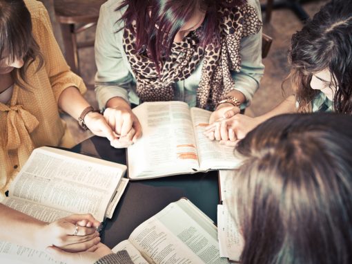 Provide Biblical Wisdom to Love on Your Disciple