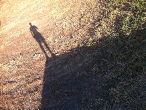 Come Out of the Shadows to be an Emotionally Healthy Leader