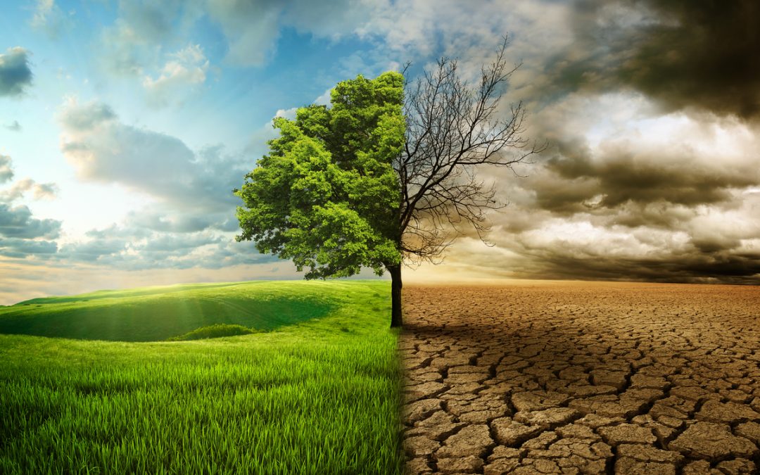 How to Discern “Good Soil” in Mentoring Conversations