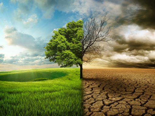How to Discern “Good Soil” in Mentoring Conversations
