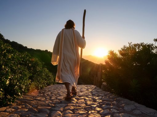 What Is Your Leadership Seeking?